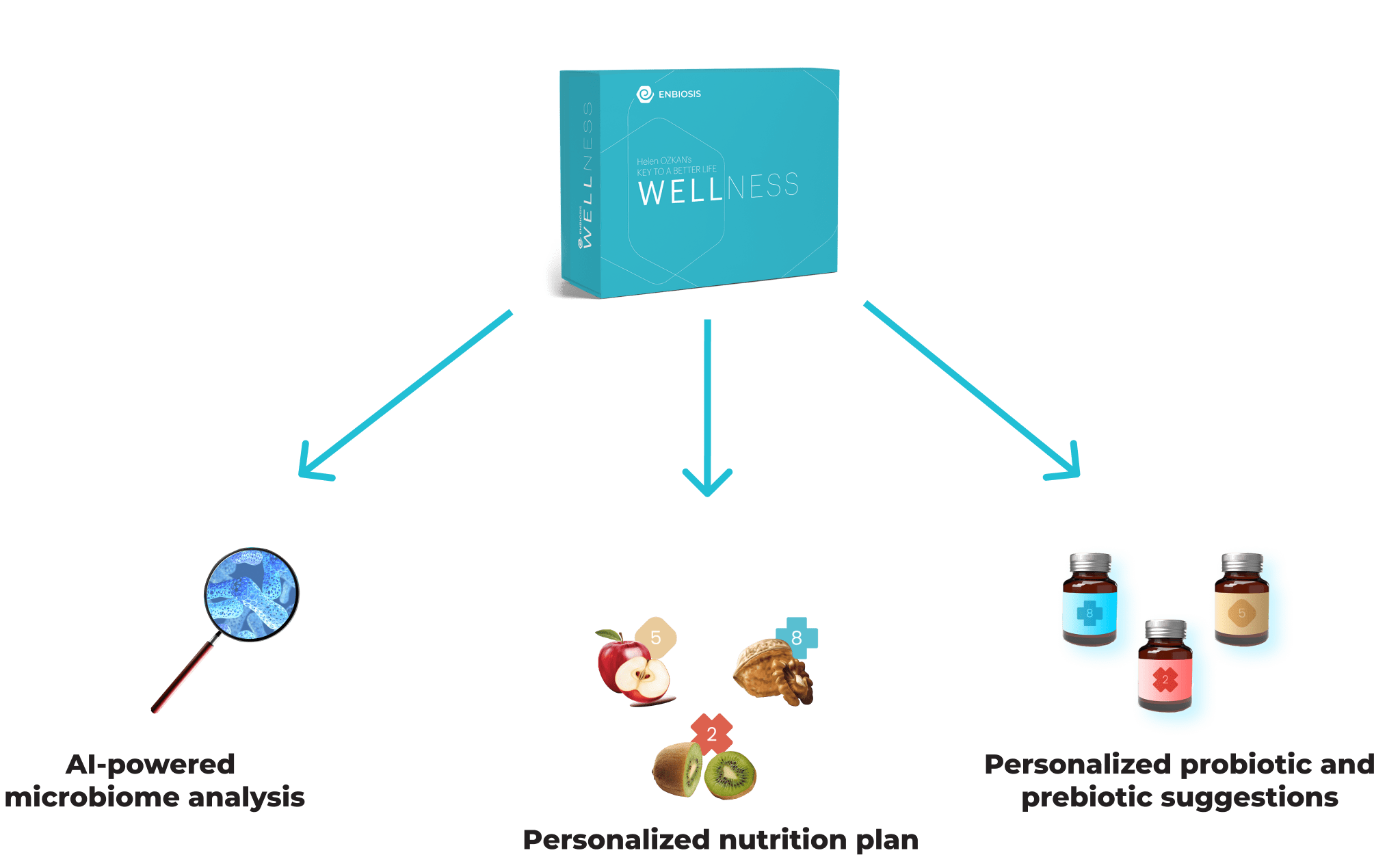 Enbiosis diet model microbiome analysis