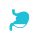 healthicons_stomach-outline