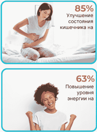 gut health solutions