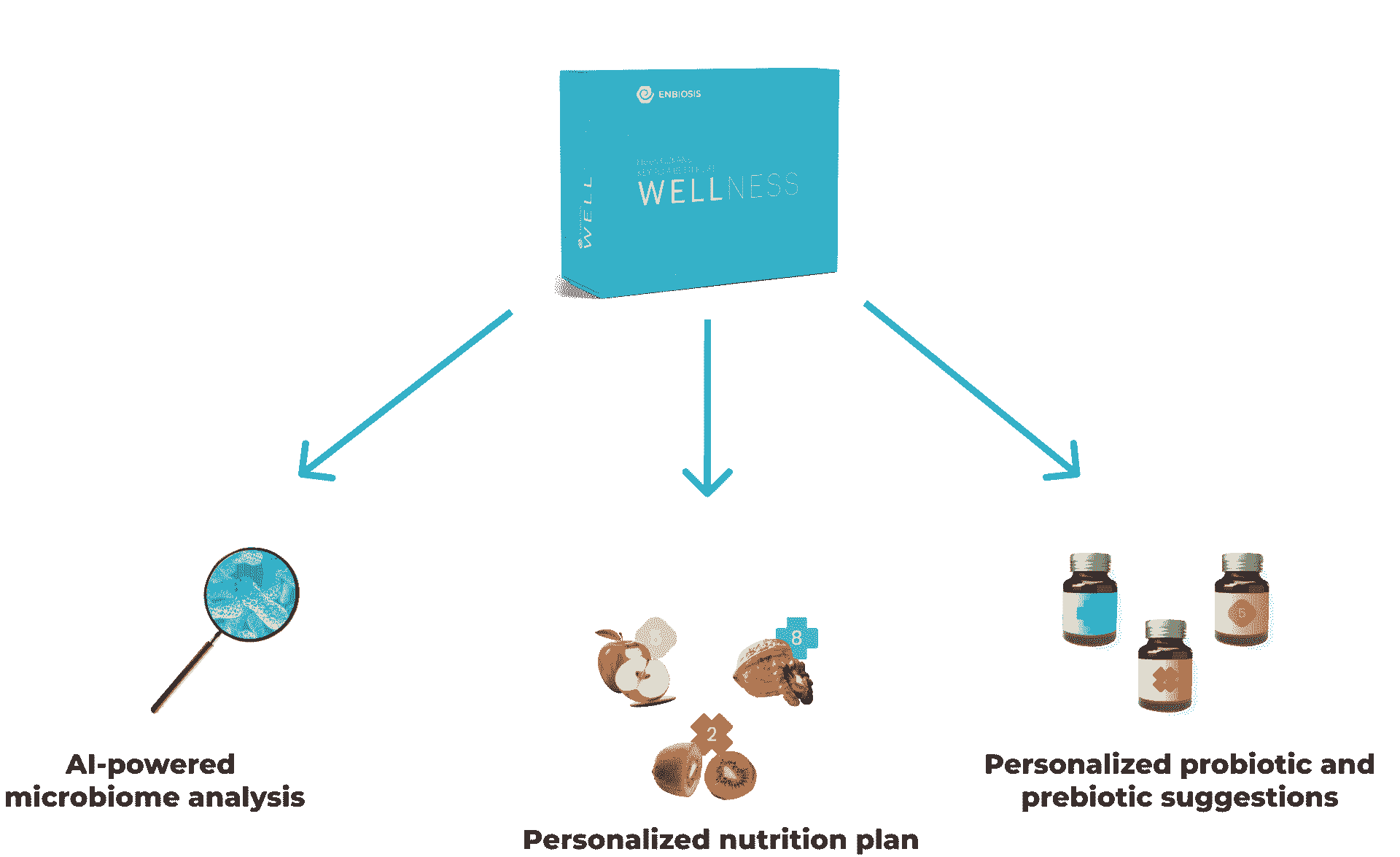 Enbiosis-diet-model-3-1920x1175-min