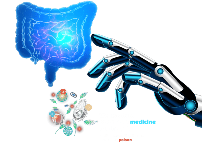 Gut microbiome test and gut heal using AI algorithms