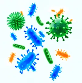 microbiome diversity