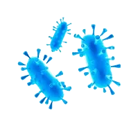 microbiome diversity
